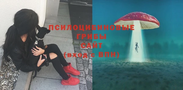 твердый Абдулино